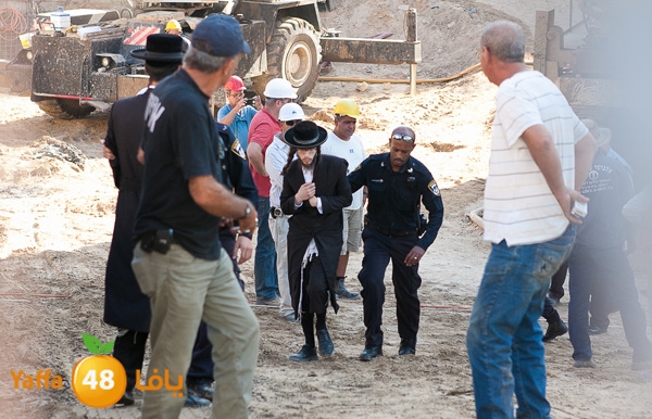 haradeem france hos 629 (49).jpg